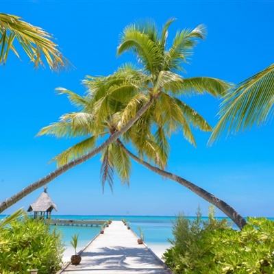 LOL外围官网app下载