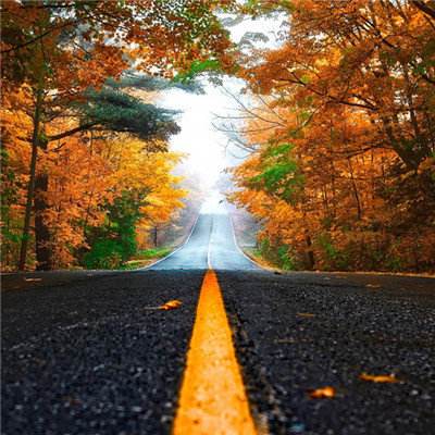 天健棋牌手机app下载